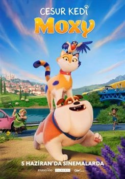 CESUR KEDİ MAXY